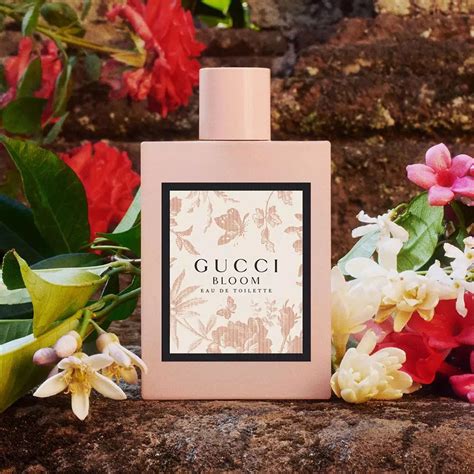 gucci bloom eau de parfum fragrantica|gucci bloom perfume smell.